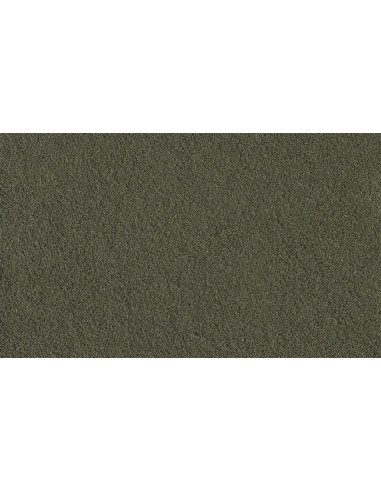 Woodland Scenics T41 - Confezione di tappeto erboso fine, terra scura.