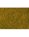 NOCH 07290 FOGLIAME DI PRATO GIALLO-VERDE