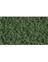 WOODLAND SCENICS FC1637 Flacone fogliame, sottobosco, erba verde scuro con dosatore