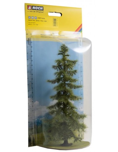 NOCH 21817 Abete rosso