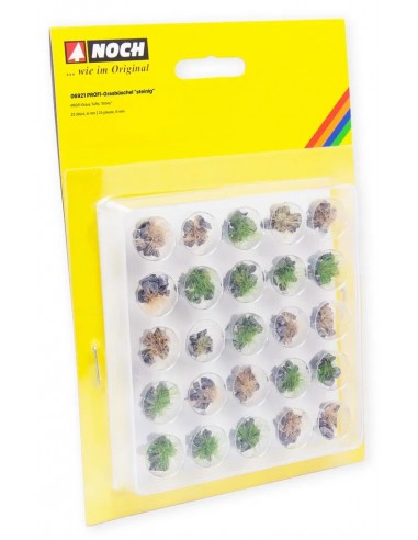 NOCH 06900 PROFI ciuffi d'erba con fiori