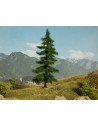 NOCH 21812 Abete di Nordmann