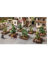 NOCH 21546 Cespugli ornamentali