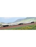 X-TRAINS 2390021 Carro intermodale Sggmrss 90‘ Wascosa