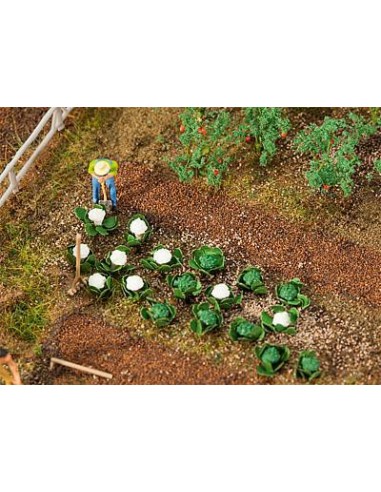 FALLER - 181257 CAVOLI E VERZA