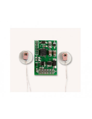 ALMROSE 8-102003 - KIT LANTERNE DI CODA A LED CON DECODER DCC
