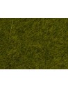 NOCH - 07100 Erba in fibra sintetica 6 mm