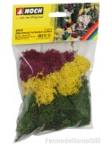 NOCH 08630 - Licheni autunnali assortiti