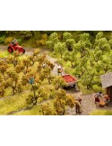 NOCH 21537 - Piantagione di alberi di mele