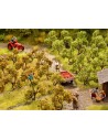 NOCH 21537 - Piantagione di alberi di mele