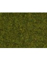 NOCH 08212 - Confezione di Erba sintetica, Prato 1,5 mm