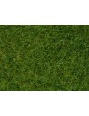 NOCH - 07102 Erba in fibra verde