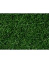 NOCH - 07106 Erba in fibra Verde Scuro