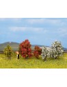 NOCH 25420 - Cespugli, Arbusti fioriti