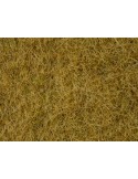 NOCH - 07091 Erba selvatica beige 6 mm