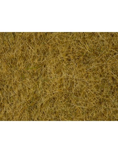 NOCH - 07091 Erba selvatica beige 6 mm