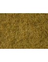 NOCH - 07091 Erba selvatica beige 6 mm