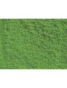 NOCH - 07202 Flockage verde chiaro 20 g