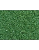 NOCH - 07331 Structure Flockage fine verde brillante 20 g