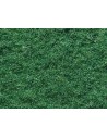 NOCH - 07352 Flockage verde medio