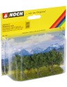 NOCH - 25510 Alberi da frutto
