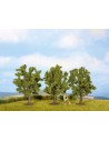 NOCH - 25510 Alberi da frutto