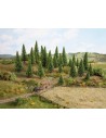 NOCH 26826 - Alberi di abete rosso, 50 pezzi, alti 5-14 cm