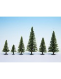 NOCH 26826 - Alberi di abete rosso, 50 pezzi, alti 5-14 cm