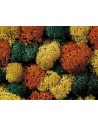 NOCH - 08620 Mix di Licheni autunnali