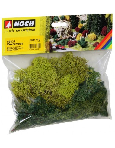NOCH 08621 - Mix licheni verdi assortiti